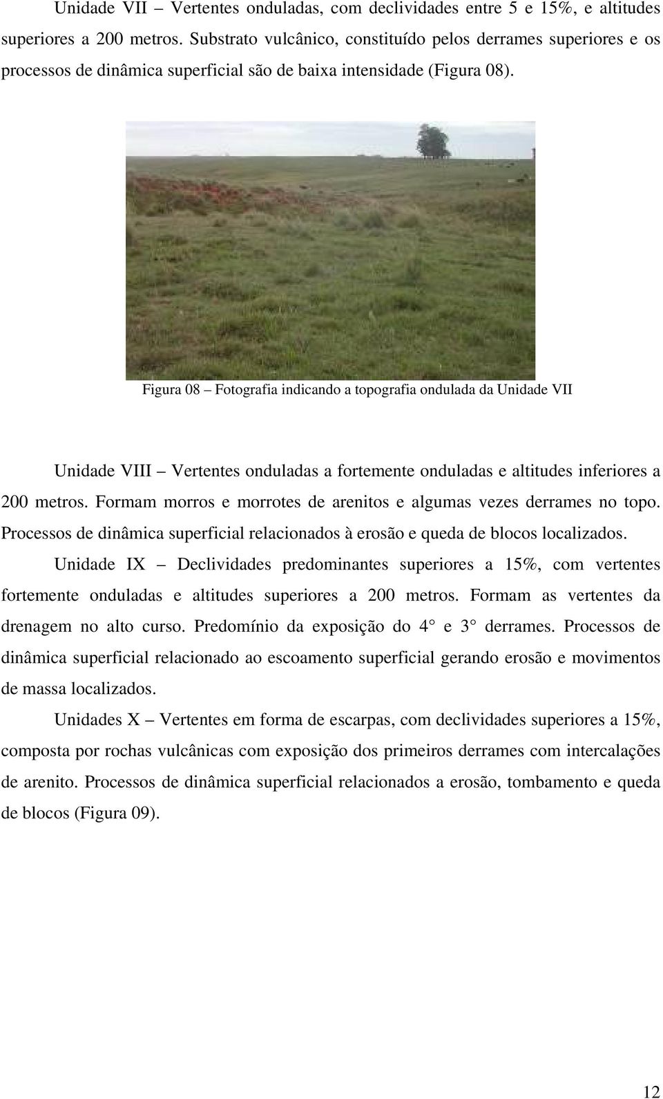 Figura 08 Fotografia indicando a topografia ondulada da Unidade VII Unidade VIII Vertentes onduladas a fortemente onduladas e altitudes inferiores a 200 metros.