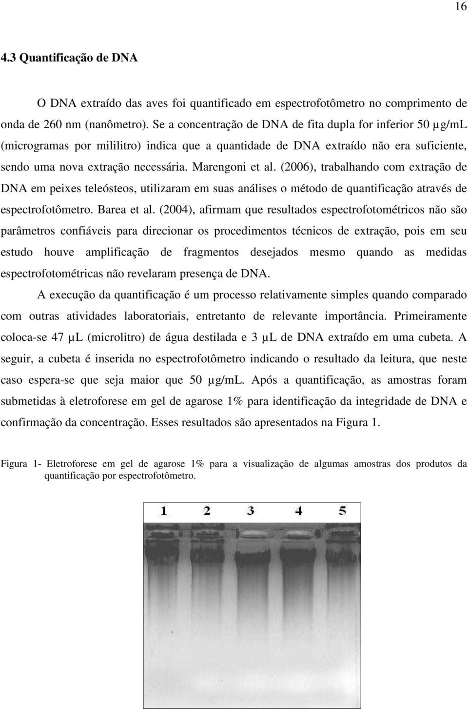 Marengoni et al. (2006), trabalhando com extração de DNA em peixes teleósteos, utilizaram em suas análises o método de quantificação através de espectrofotômetro. Barea et al.