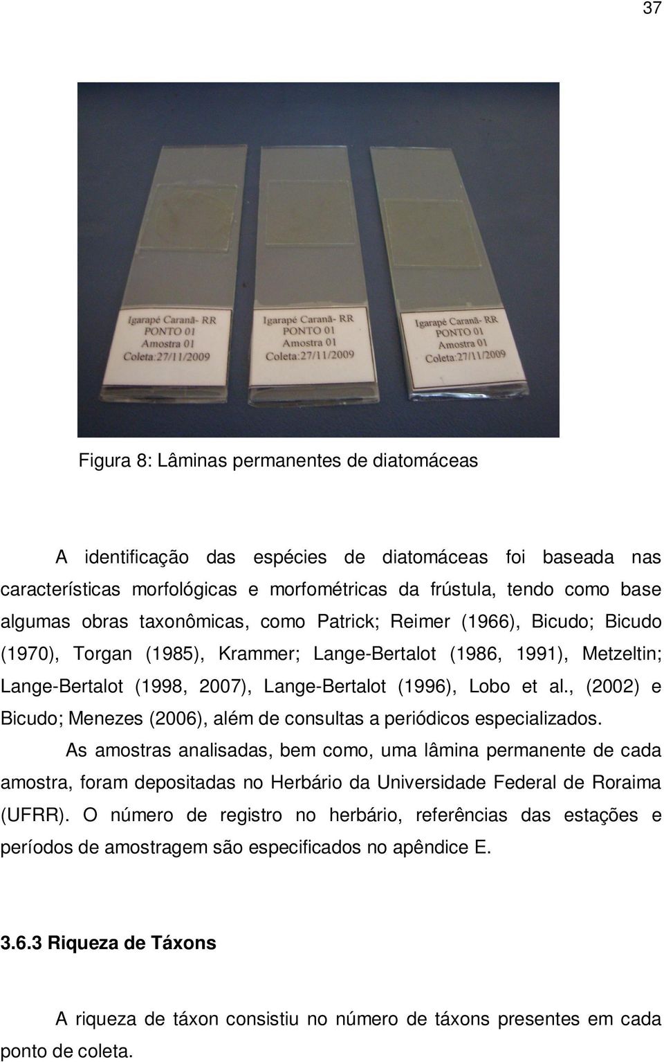 , (2002) e Bicudo; Menezes (2006), além de consultas a periódicos especializados.