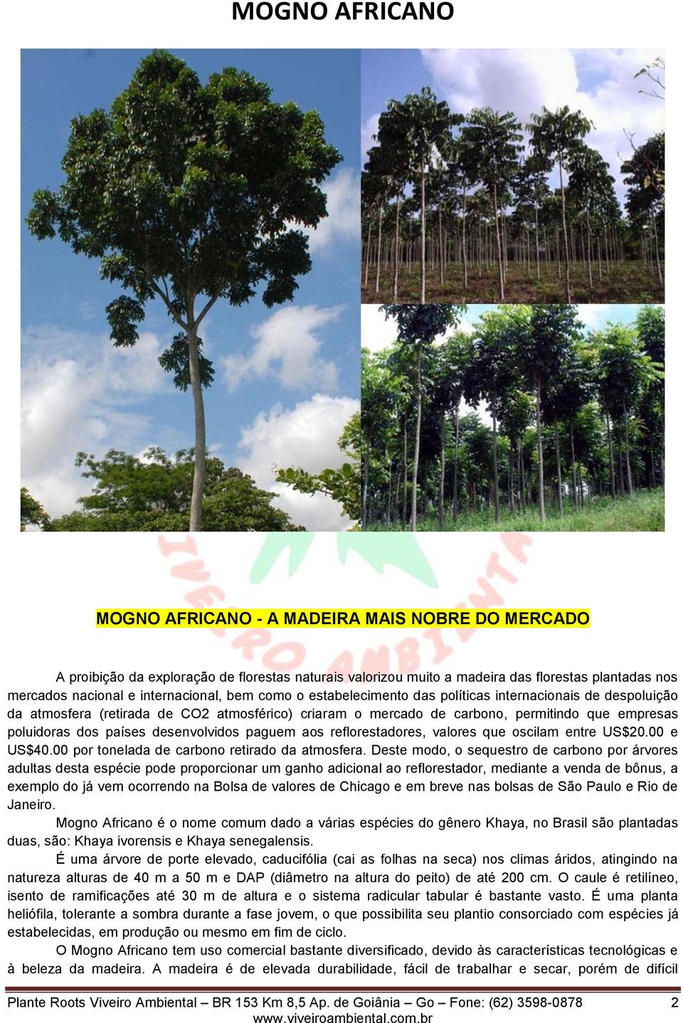 países desenvolvidos paguem aos reflorestadores, valores que oscilam entre US$20.00 e US$40.00 por tonelada de carbono retirado da atmosfera.