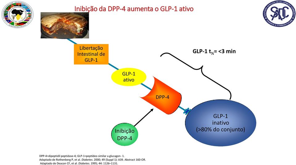 peptidase-4; GLP-1=peptídeo similar a glucagon- 1. Adaptado de Rothenberg P, et al. Diabetes.