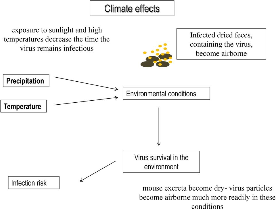 Precipitation Temperature Environmental conditions Virus survival in the environment