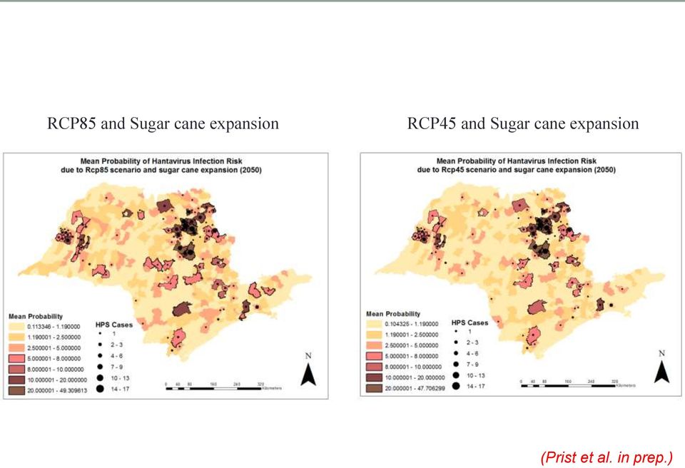 Sugar cane expansion