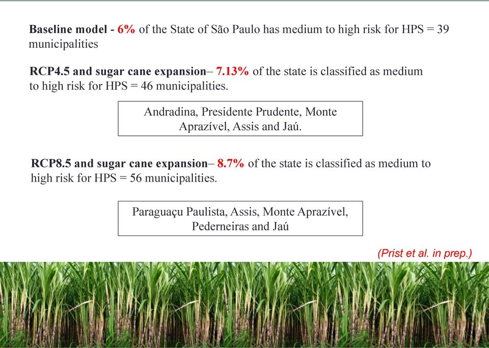 Andradina, Presidente Prudente, Monte Aprazível, Assis and Jaú. RCP8.5 and sugar cane expansion 8.
