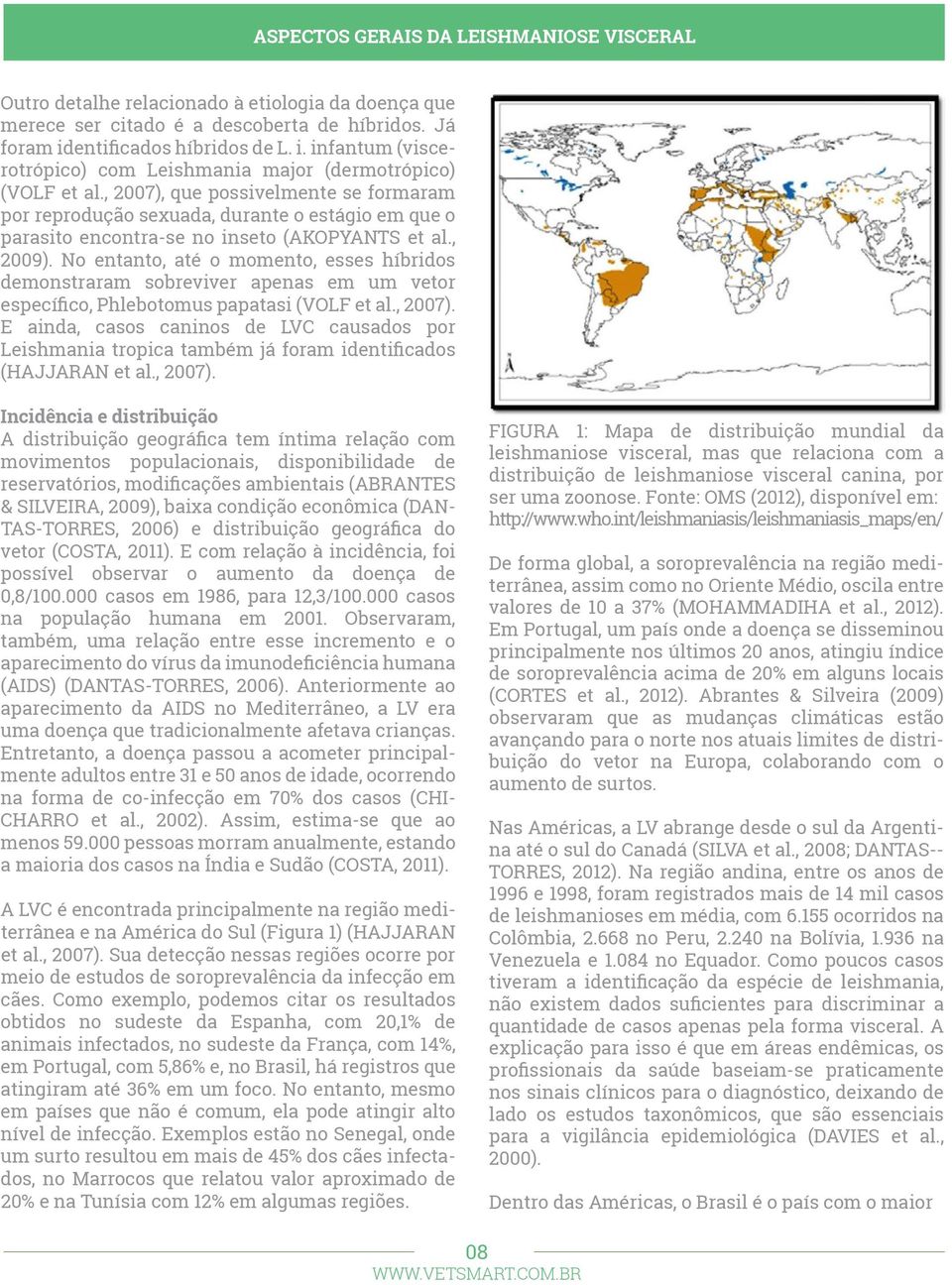 , 2007), que possivelmente se formaram por reprodução sexuada, durante o estágio em que o parasito encontra-se no inseto (AKOPYANTS et al., 2009).