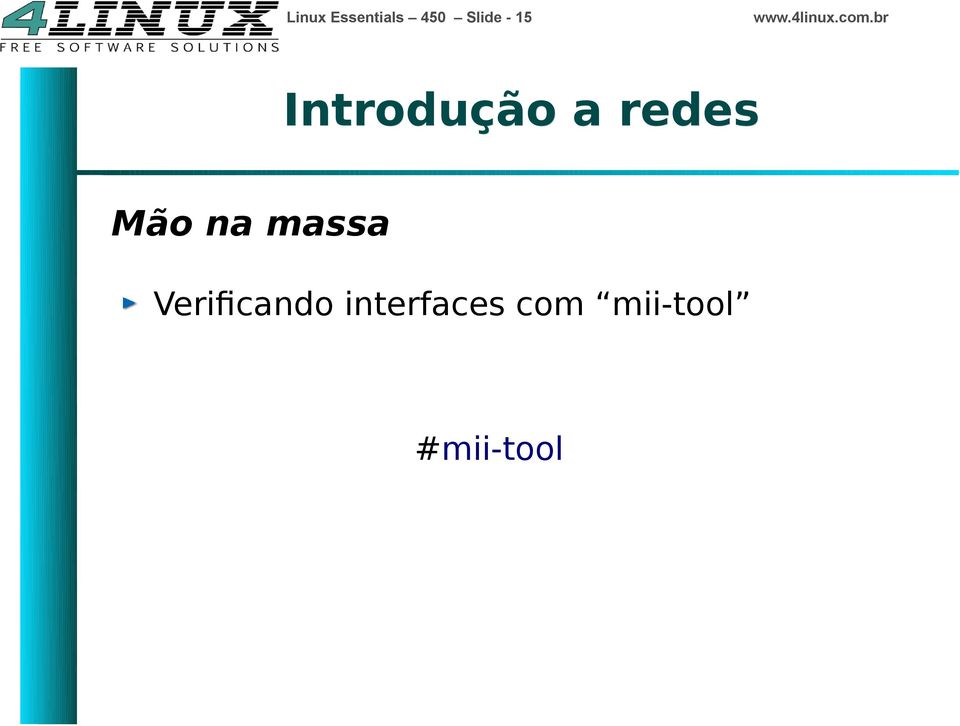 massa Verifcando