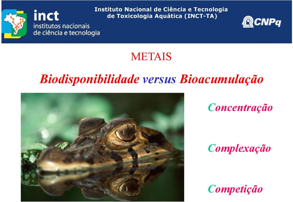 versus Bioacumulação