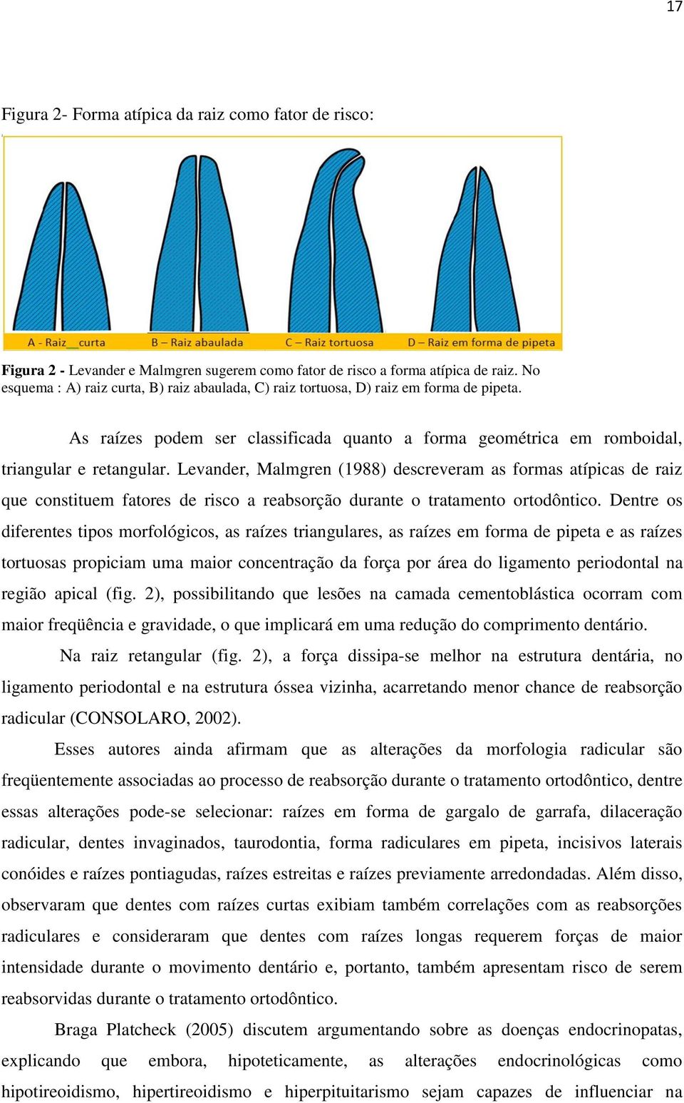 Levander, Malmgren (1988) descreveram as formas atípicas de raiz que constituem fatores de risco a reabsorção durante o tratamento ortodôntico.