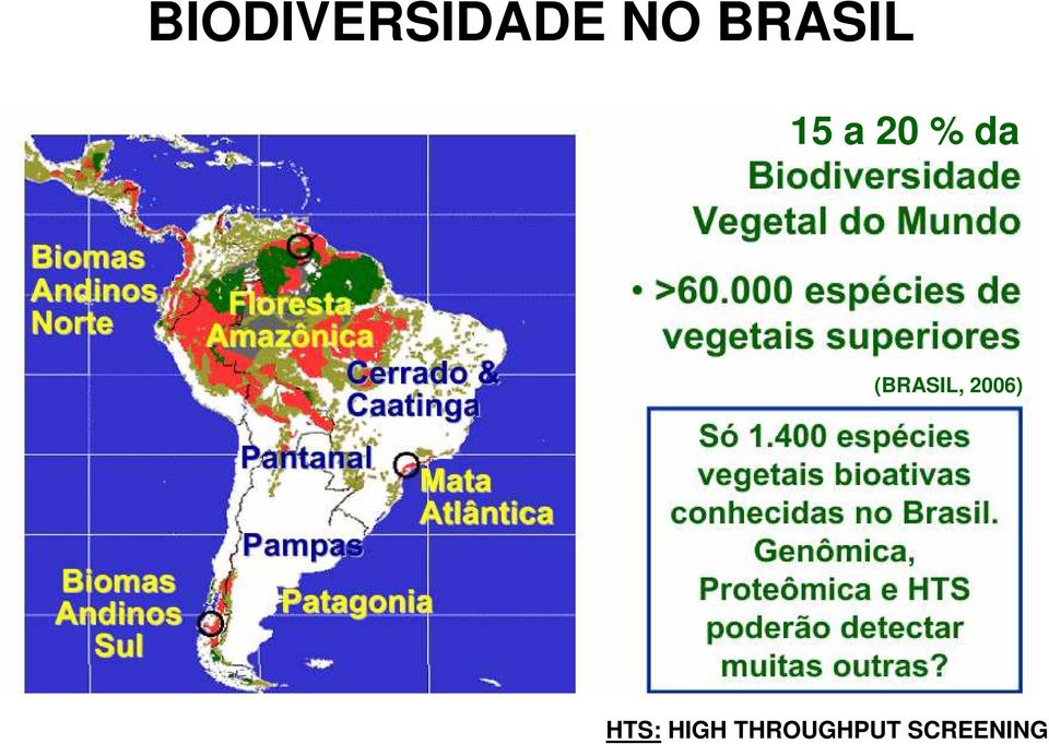 (BRASIL, 2006) HTS: