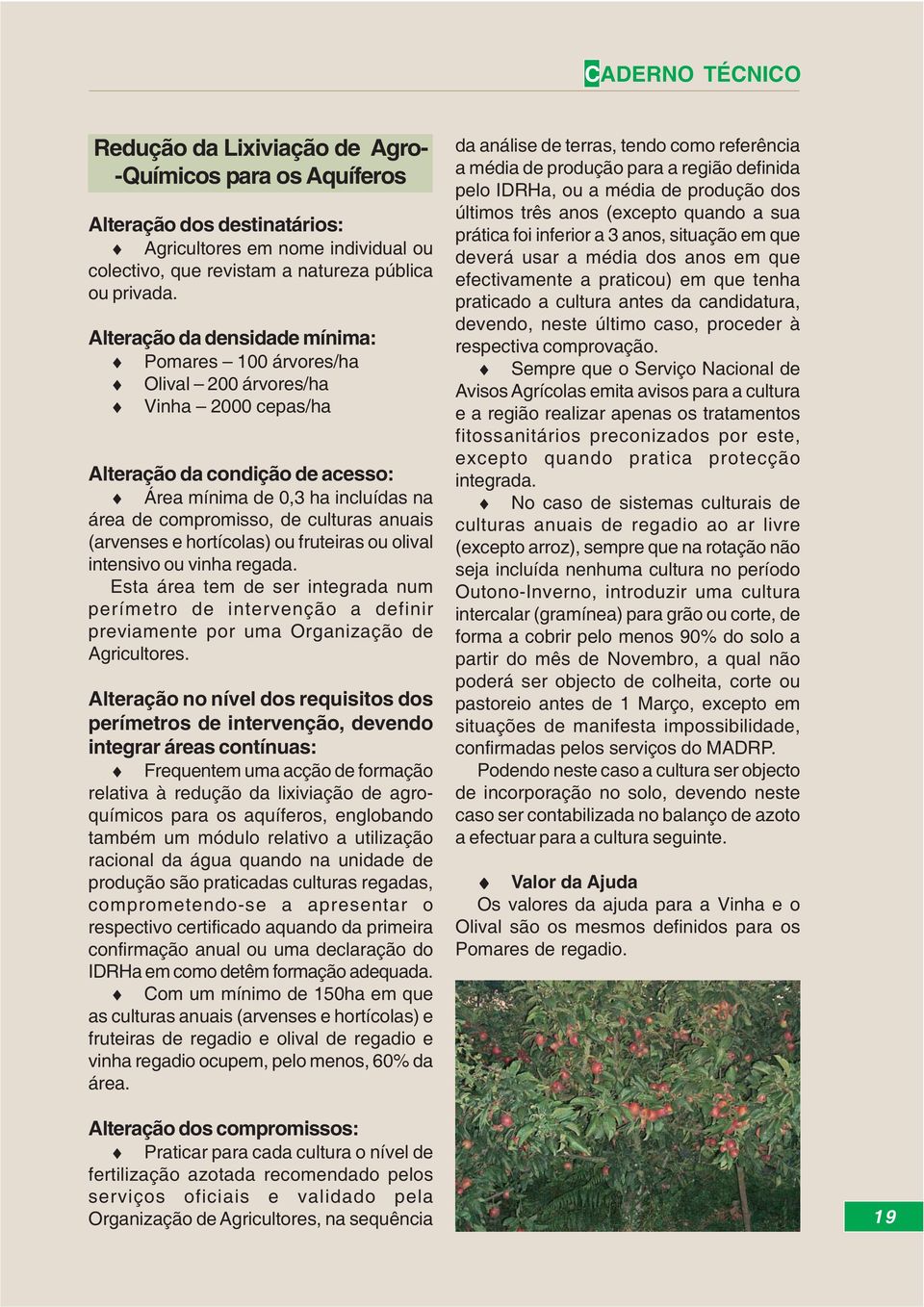 anuais (arvenses e hortícolas) ou fruteiras ou olival intensivo ou vinha regada. Esta área tem de ser integrada num perímetro de intervenção a definir previamente por uma Organização de Agricultores.