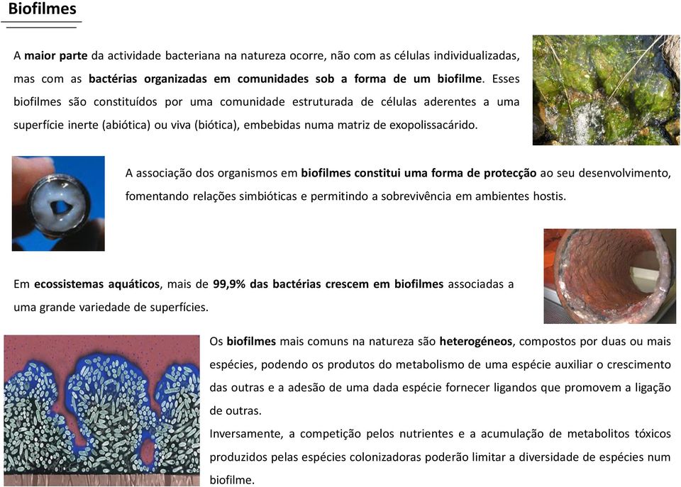 A associação dos organismos em biofilmes constitui uma forma de protecção ao seu desenvolvimento, fomentando relações simbióticas e permitindo a sobrevivência em ambientes hostis.