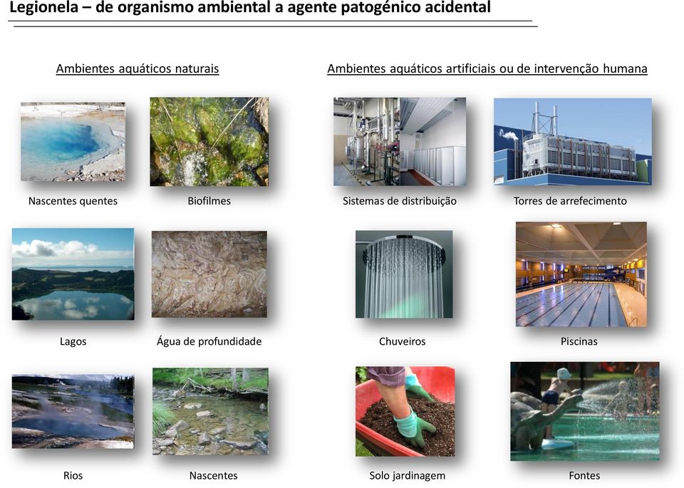 Nascentes quentes Biofilmes Sistemas de distribuição Torres de arrefecimento