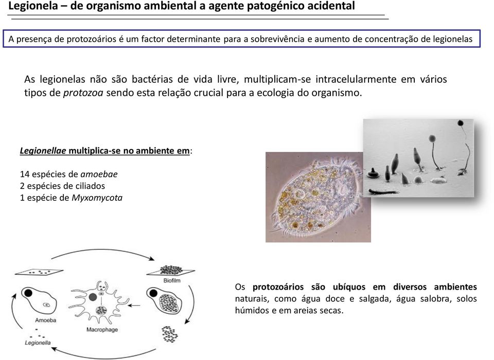 esta relação crucial para a ecologia do organismo.