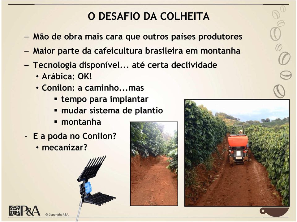 .. até certa declividade Arábica: OK! Conilon: a caminho.