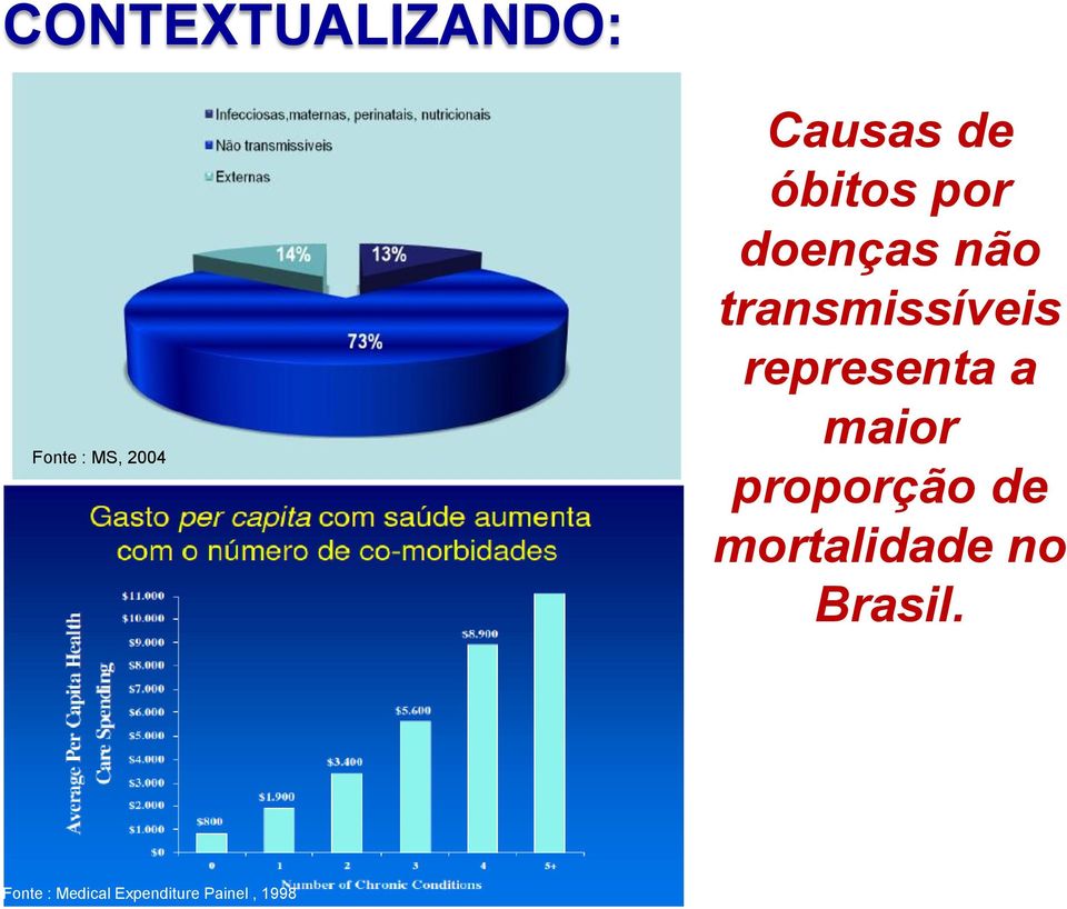 não transmissíveis representa a maior proporção de