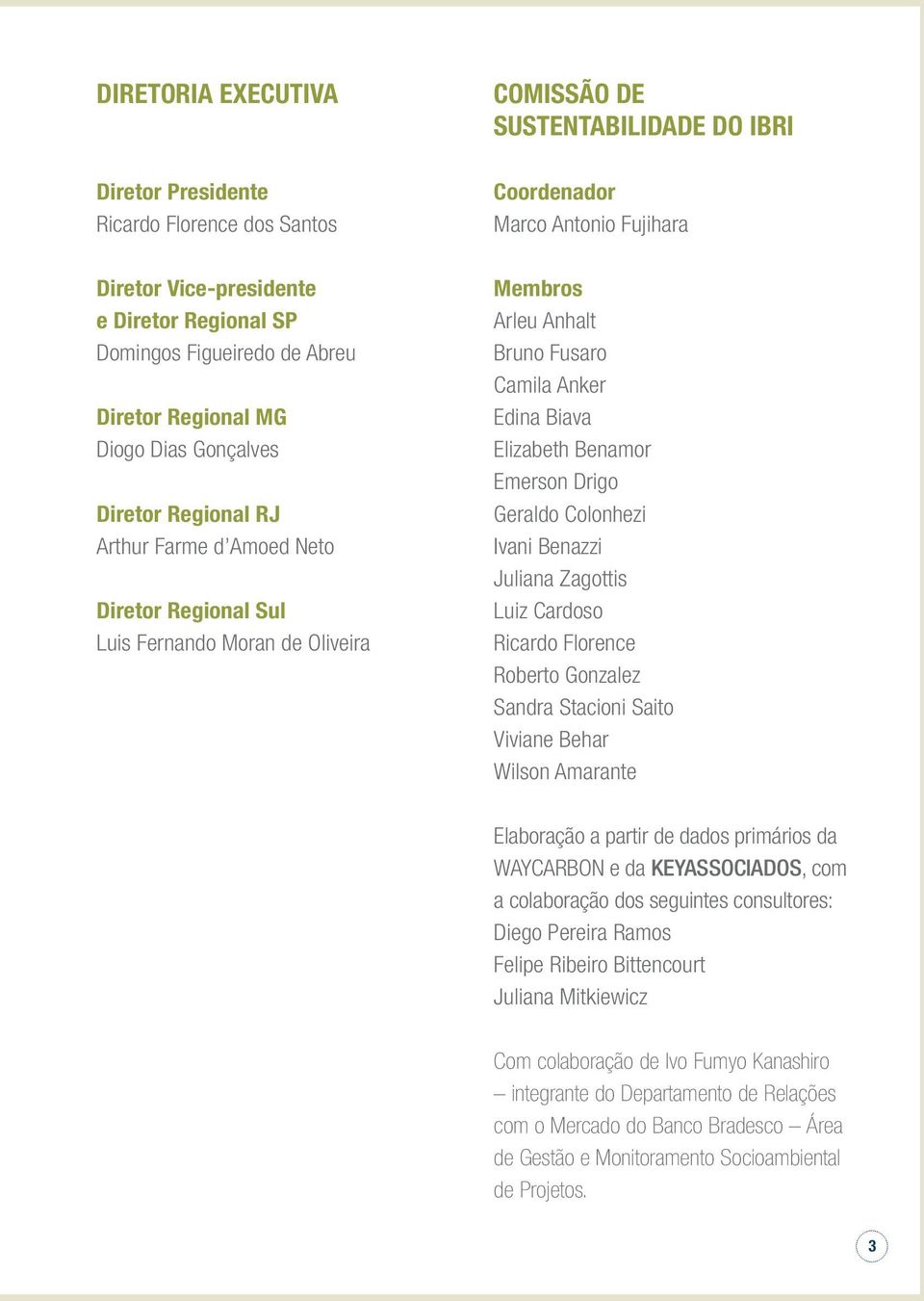 Anker Edina Biava Elizabeth Benamor Emerson Drigo Geraldo Colonhezi Ivani Benazzi Juliana Zagottis Luiz Cardoso Ricardo Florence Roberto Gonzalez Sandra Stacioni Saito Viviane Behar Wilson Amarante