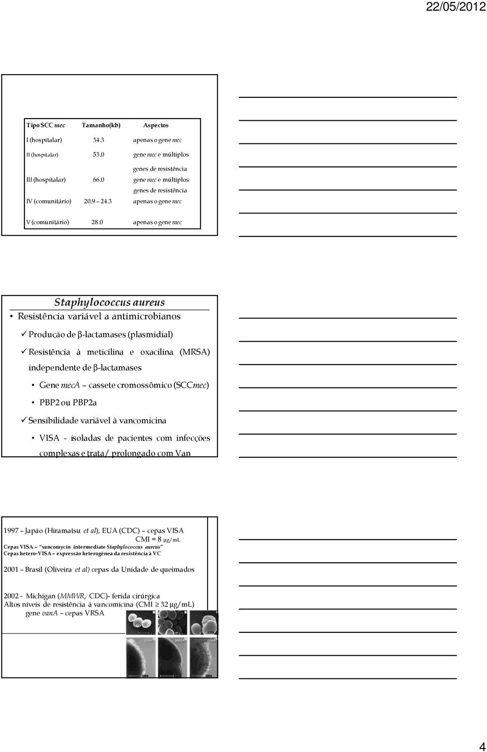 0 apenas o gene mec Resistência variável a antimicrobianos Produção de β-lactamases (plasmidial) Resistência à meticilina e oxacilina (MRSA) independente de β-lactamases Gene meca cassete