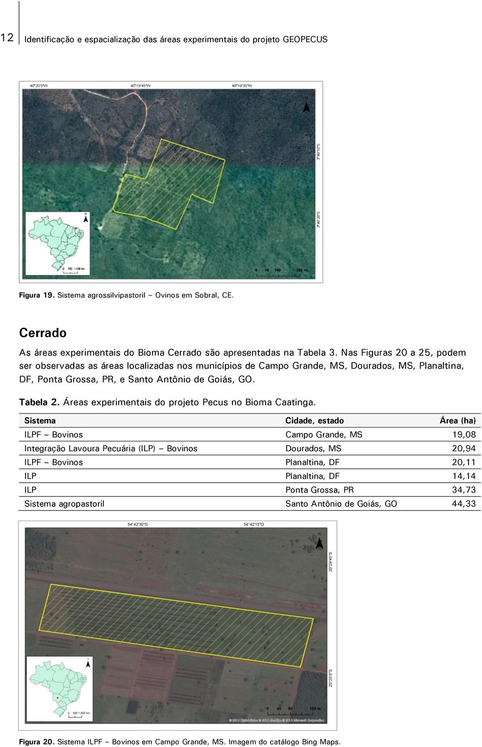 Nas Figuras 20 a 25, podem ser observadas as áreas localizadas nos municípios de Campo Grande, MS, Dourados, MS, Planaltina, DF, Ponta Grossa, PR, e Santo Antônio de Goiás, GO. Tabela 2.