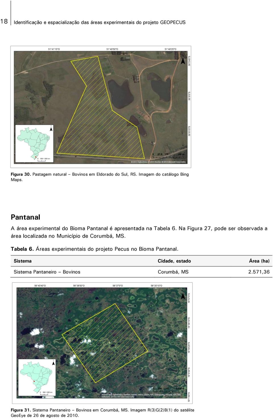 Na Figura 27, pode ser observada a área localizada no Município de Corumbá, MS. Tabela 6. Áreas experimentais do projeto Pecus no Bioma Pantanal.