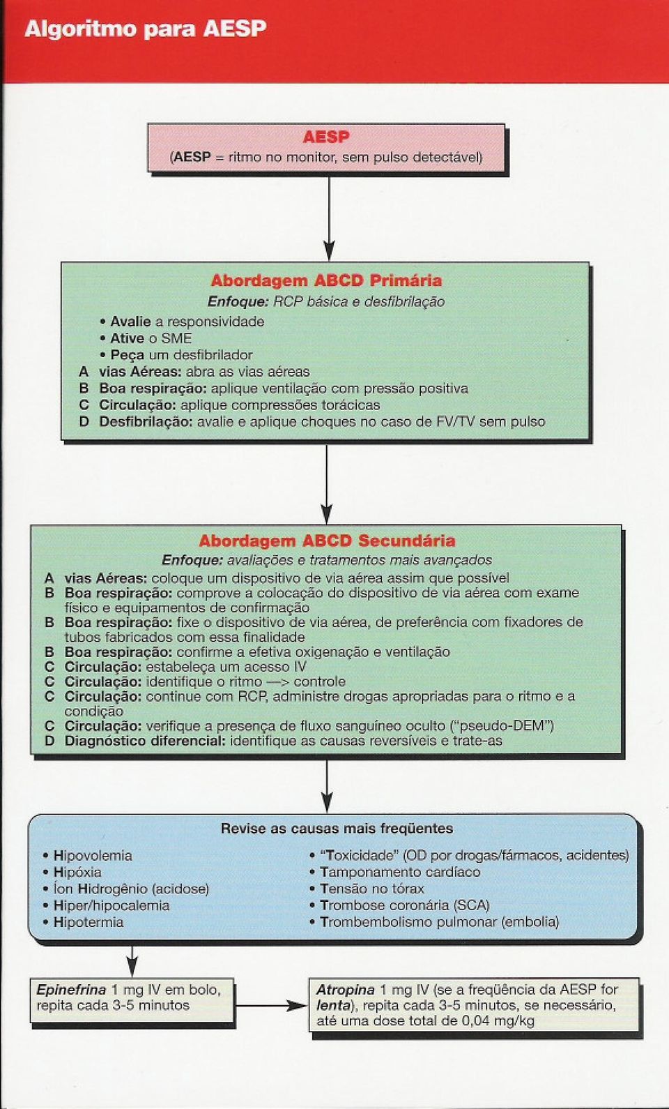 positiva C Circulação: aplique compressões torácicas D Desfibrilação: avalie e aplique choques no caso de WfJN sem pulso _.' ->.@-,.-- "', "'" '",.