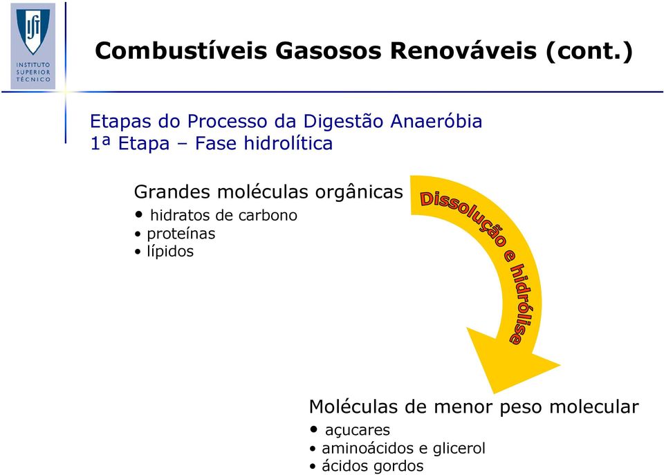 hidrolítica Grandes moléculas orgânicas hidratos de carbono