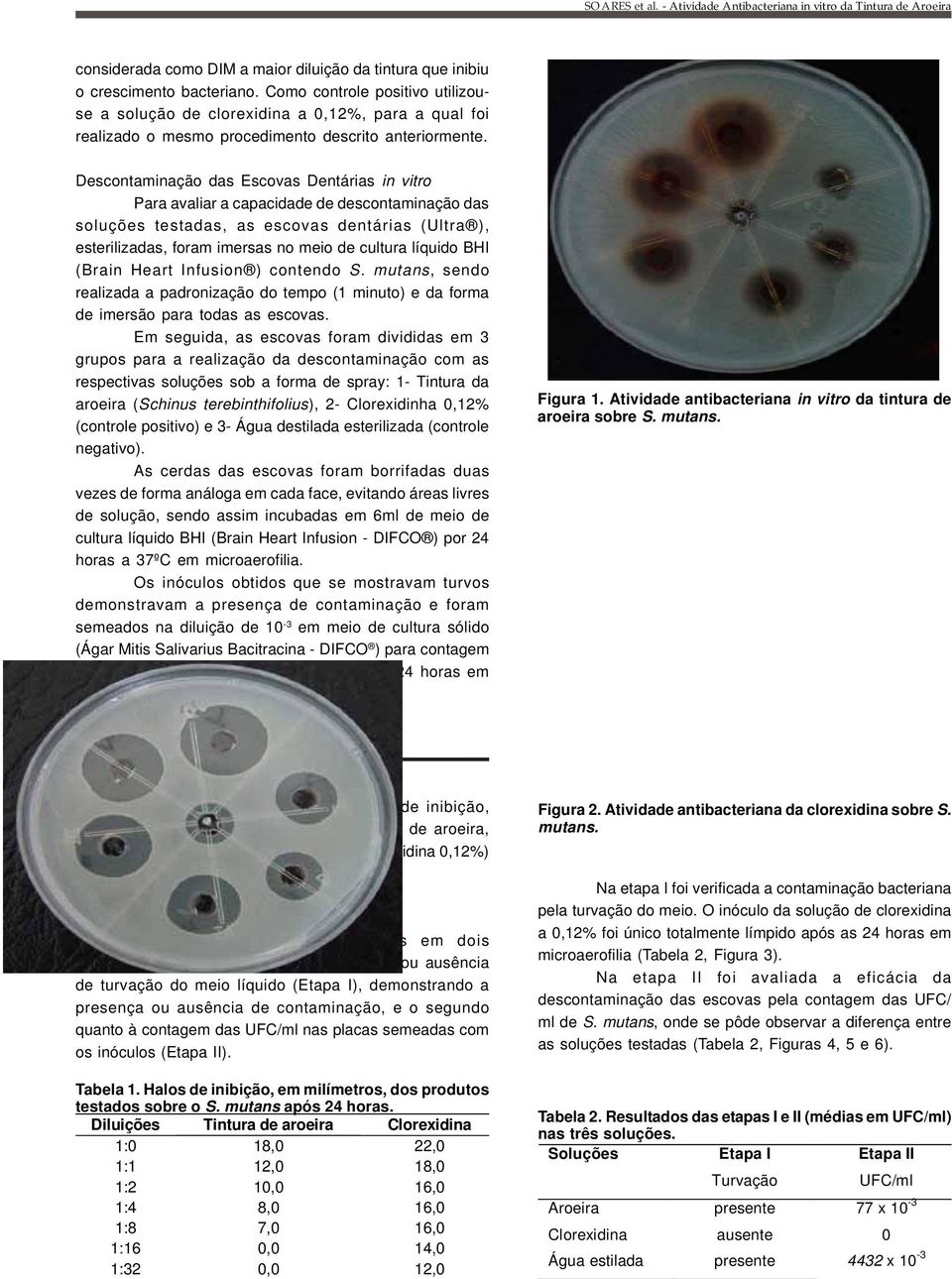 Descontaminação das Escovas Dentárias in vitro Para avaliar a capacidade de descontaminação das soluções testadas, as escovas dentárias (Ultra ), esterilizadas, foram imersas no meio de cultura