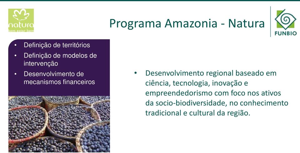 regional baseado em ciência, tecnologia, inovação e empreendedorismo com foco