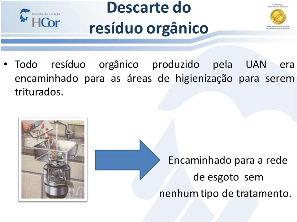 higienização para serem triturados.