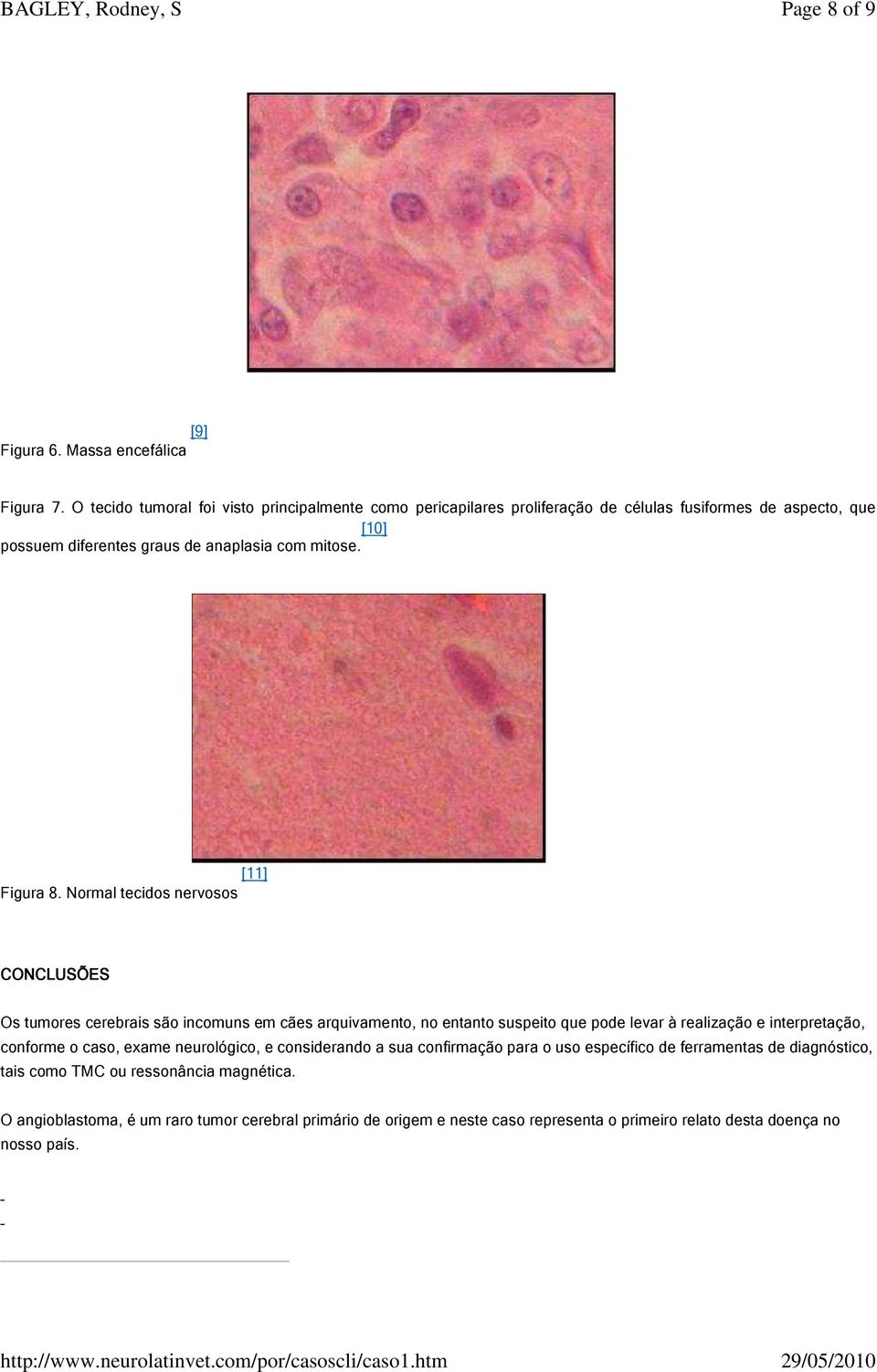 [11] Figura 8.