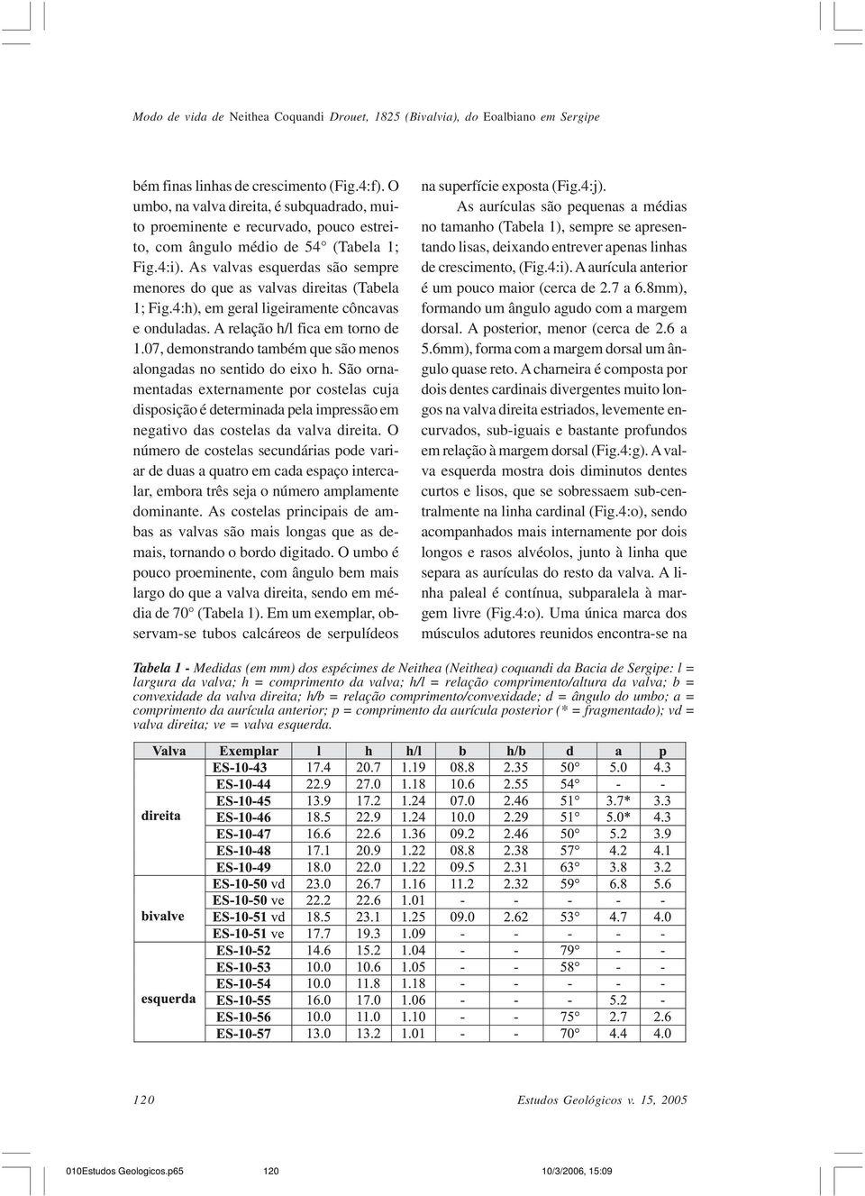 As valvas esquerdas são sempre menores do que as valvas direitas (Tabela 1; Fig.4:h), em geral ligeiramente côncavas e onduladas. A relação h/l fica em torno de 1.