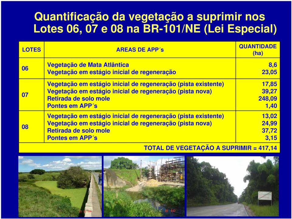 de regeneração (pista nova) Retirada de solo mole Pontes em APP s Vegetação em estágio inicial de regeneração (pista existente) Vegetação em estágio