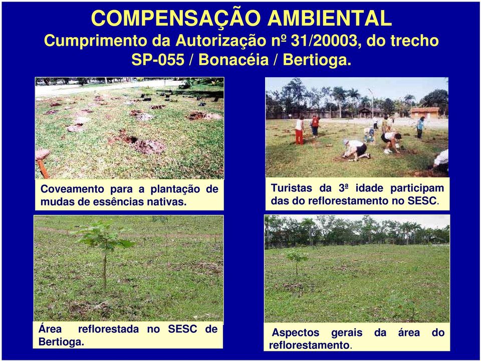 Coveamento para a plantação de mudas de essências nativas.