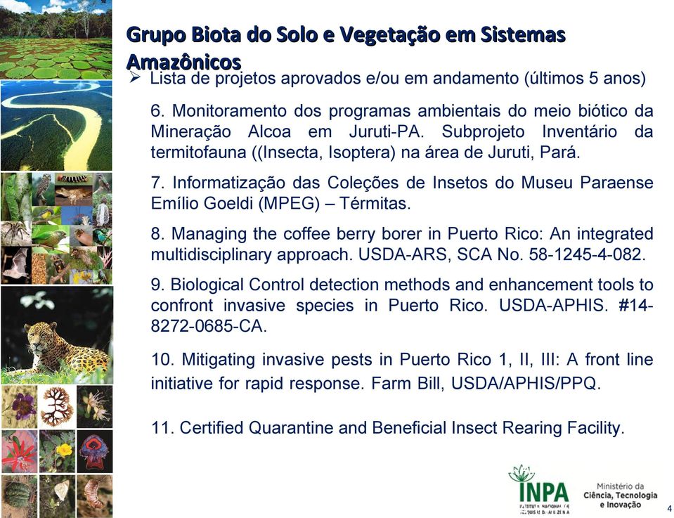 Managing the coffee berry borer in Puerto Rico: An integrated multidisciplinary approach. USDA-ARS, SCA No. 58-1245-4-082. 9.