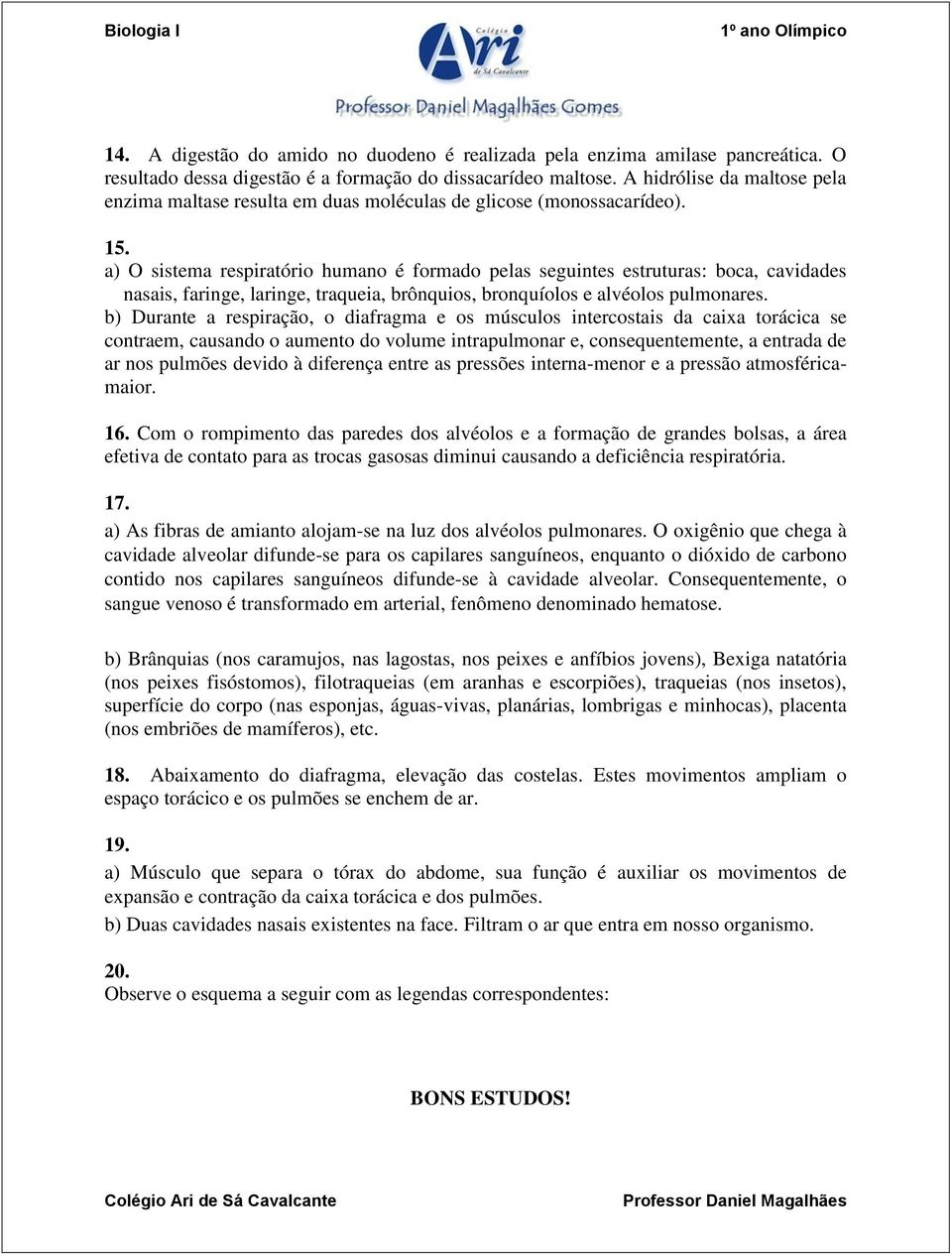 a) O sistema respiratório humano é formado pelas seguintes estruturas: boca, cavidades nasais, faringe, laringe, traqueia, brônquios, bronquíolos e alvéolos pulmonares.