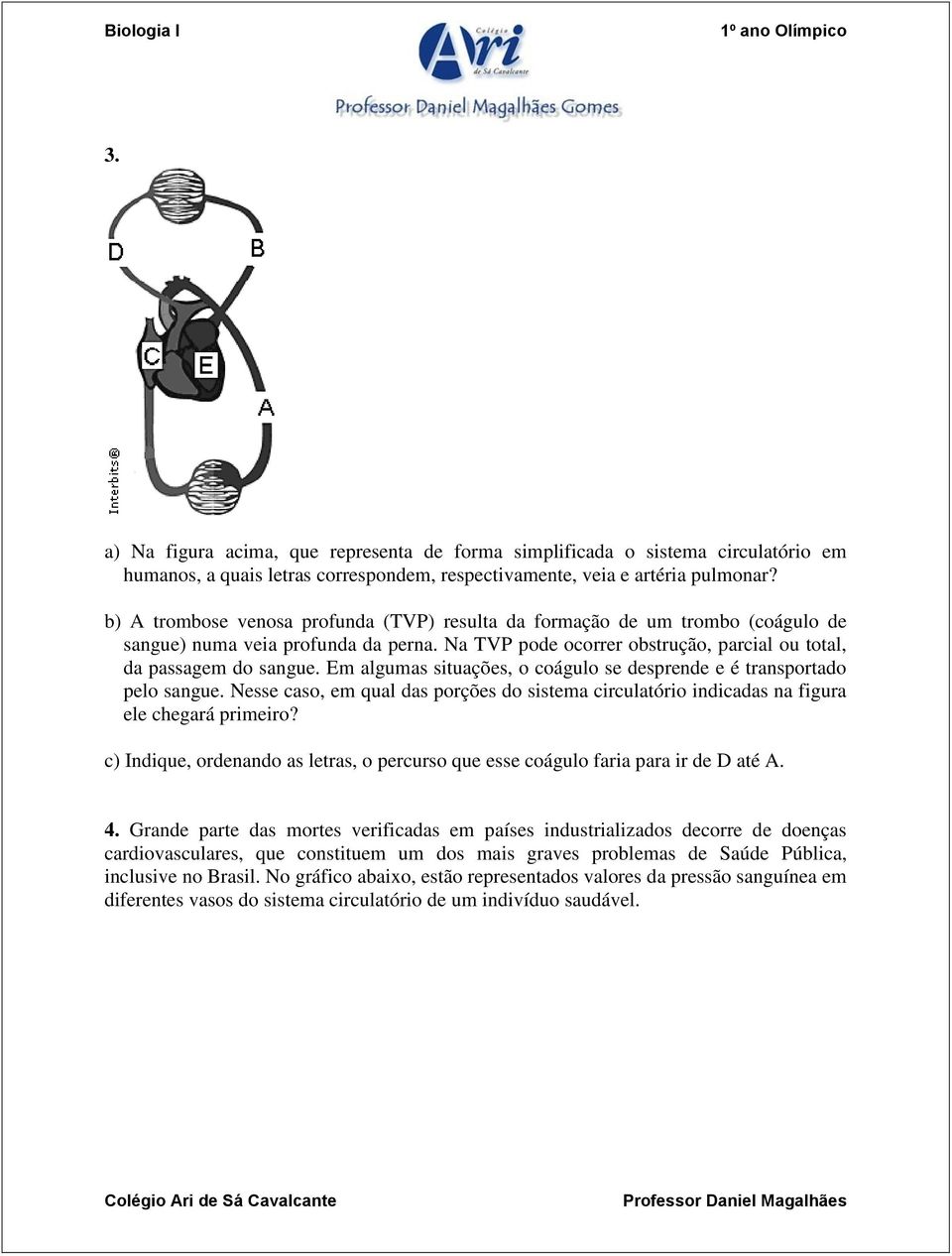 Em algumas situações, o coágulo se desprende e é transportado pelo sangue. Nesse caso, em qual das porções do sistema circulatório indicadas na figura ele chegará primeiro?