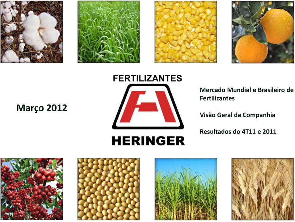 Fertilizantes Visão Geral