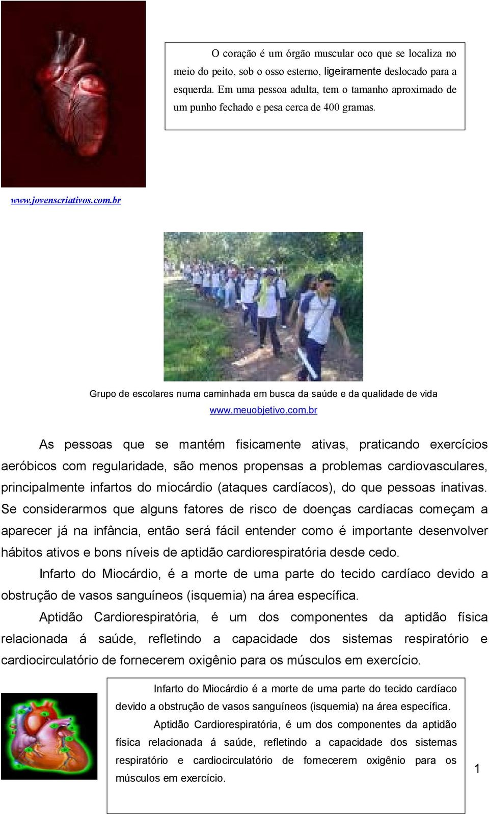 br Grupo de escolares numa caminhada em busca da saúde e da qualidade de vida www.meuobjetivo.com.