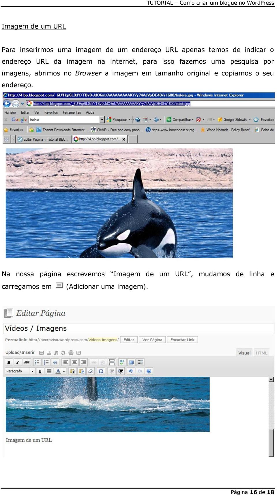 Browser a imagem em tamanho original e copiamos o seu endereço.