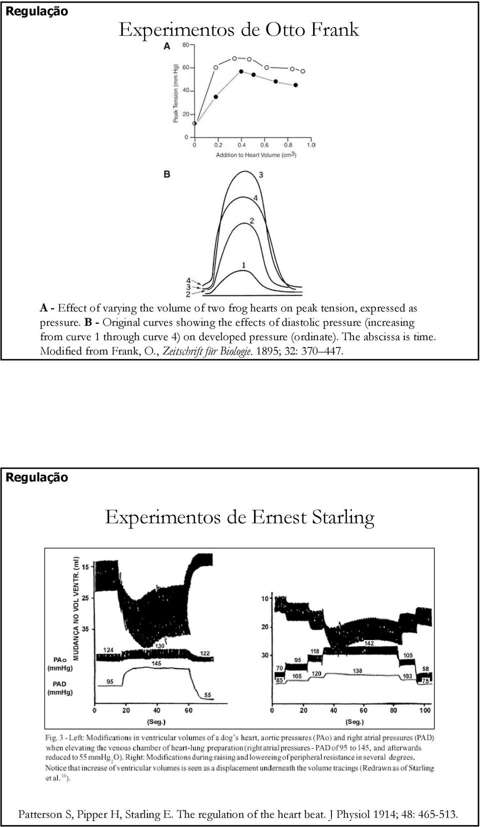 B - Original curves showing the effects of diastolic pressure (increasing from curve 1 through curve 4) on developed