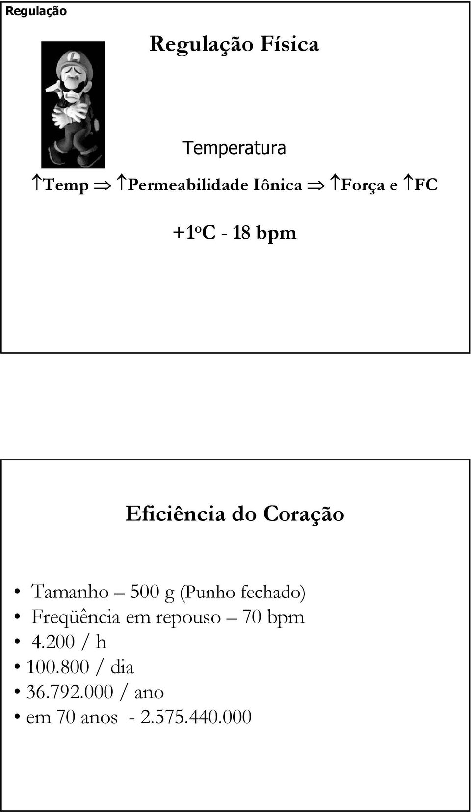 Tamanho 500 g (Punho fechado) Freqüência em repouso 70 bpm 4.