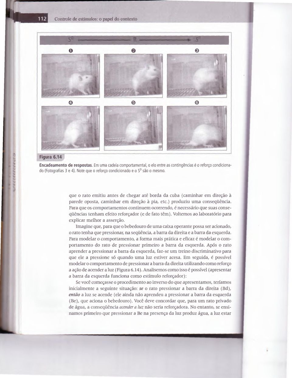 ) produziu uma conseqi.h~ncia. Para que os comportamentos continuem ocorrendo, e necessaria que suas conseqi.h~ncias tenham efeito reforc;ador ( e de fa to tern).