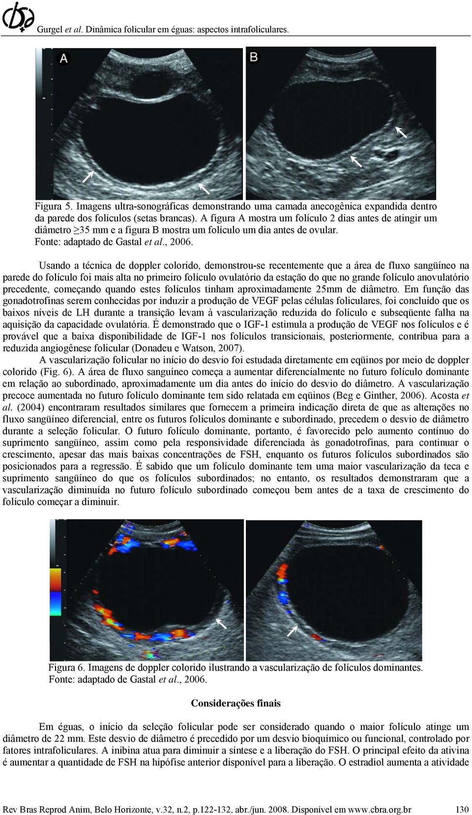 Usando a técnica de doppler colorido, demonstrou-se recentemente que a área de fluxo sangüíneo na parede do folículo foi mais alta no primeiro folículo ovulatório da estação do que no grande folículo