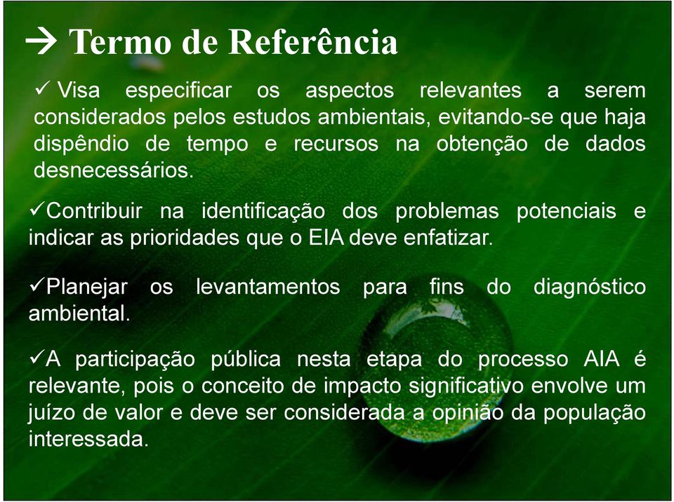 Contribuir na identificação dos problemas potenciais e indicar as prioridades que o EIA deve enfatizar.