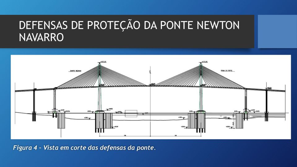 NAVARRO Figura 4 Vista