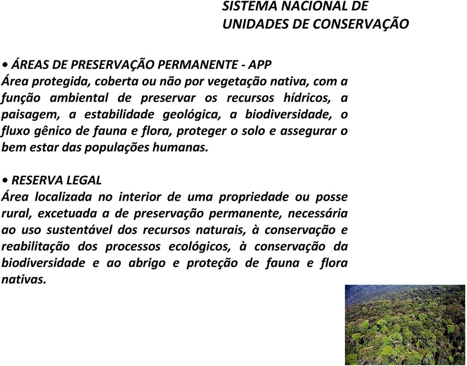 RESERVA LEGAL Área localizada no interior de uma propriedade ou posse rural, excetuada a de preservação permanente, necessária ao uso sustentável dos