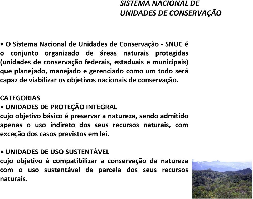 CATEGORIAS UNIDADES DE PROTEÇÃO INTEGRAL cujo objetivo básico é preservar a natureza, sendo admitido apenas o uso indireto dos seus recursos naturais,