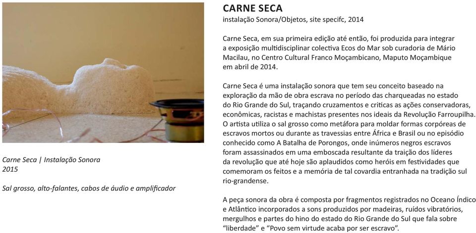 Carne Seca Instalação Sonora 2015 Sal grosso, alto-falantes, cabos de áudio e amplificador Carne Seca é uma instalação sonora que tem seu conceito baseado na exploração da mão de obra escrava no