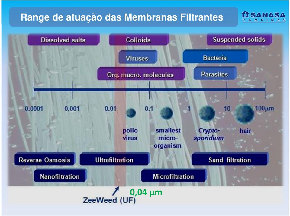 Membranas