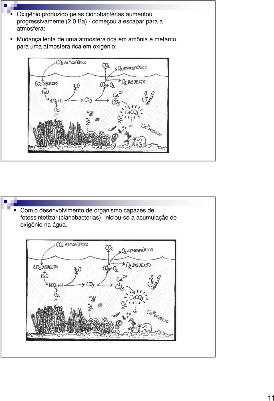 e metamo para uma atmosfera rica em oxigênio; Com o desenvolvimento de organismo