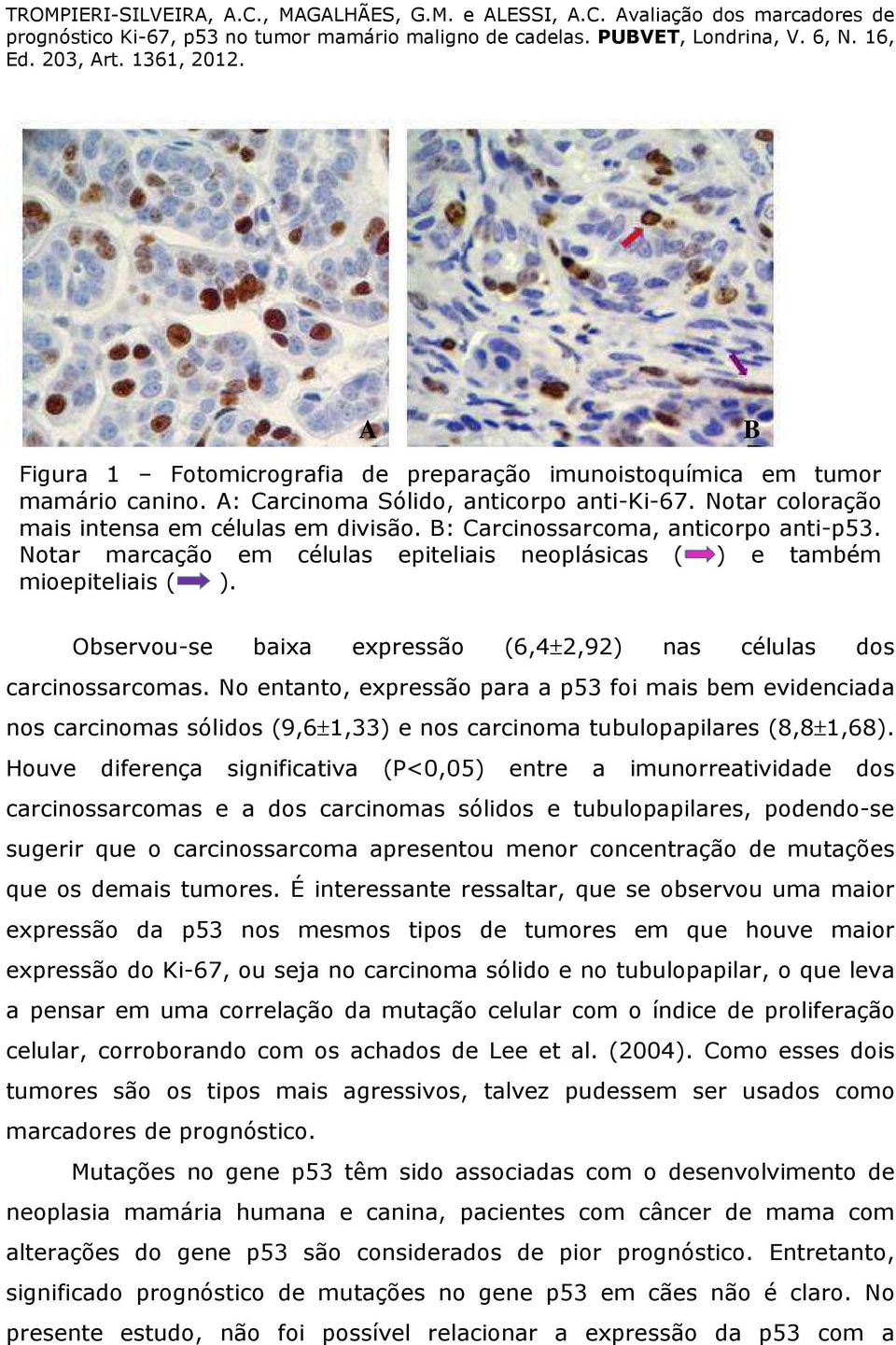 No entanto, expressão para a p53 foi mais bem evidenciada nos carcinomas sólidos (9,6±1,33) e nos carcinoma tubulopapilares (8,8±1,68).